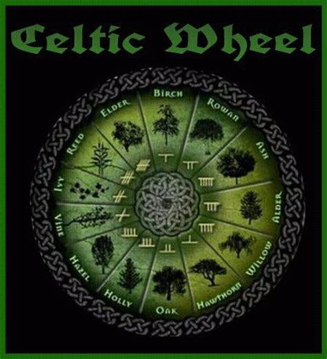 Connecting with the Wisdom of Celtic Paganism Near Me